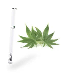 CBD Vape Pen​ – Elevate 500mg CBD Vape Pen