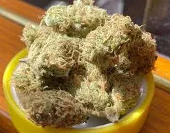 Golden Goat Cannabis Strain 16%-23%THC