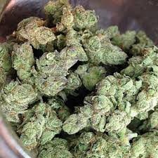 Green Cheese Balanced Hybrid Cannabis Strain 13%-15%THC